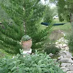 Bed & Breakfast Mediterranea With Private Parking