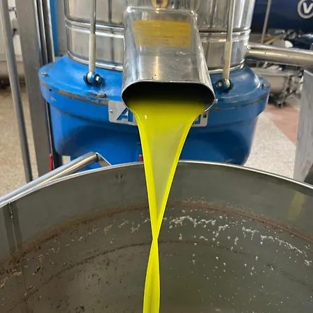 Mediterranea With Private Parking Frühstückspension