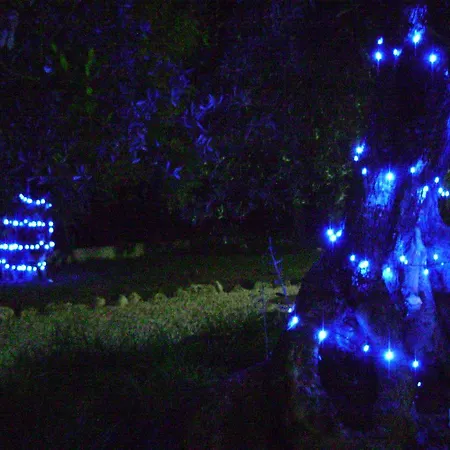 Mediterranea With Private Parking Trani