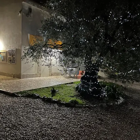 Mediterranea With Private Parking 4* Trani