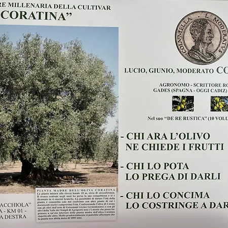 Mediterranea With Private Parking 4*