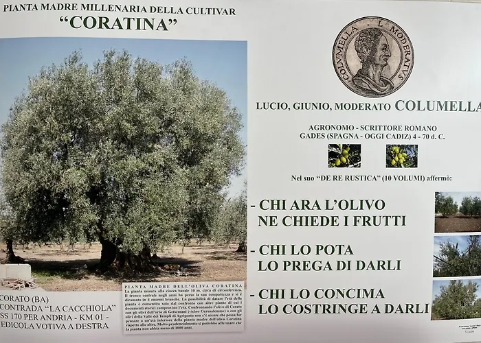 Mediterranea With Private Parking 4*