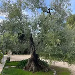 Mediterranea With Private Parking