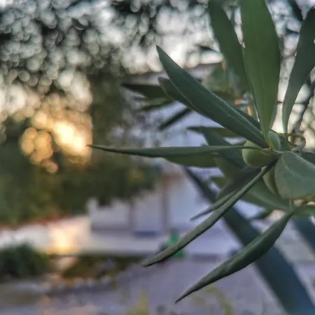 Mediterranea With Private Parking לינה וארוחת בוקר