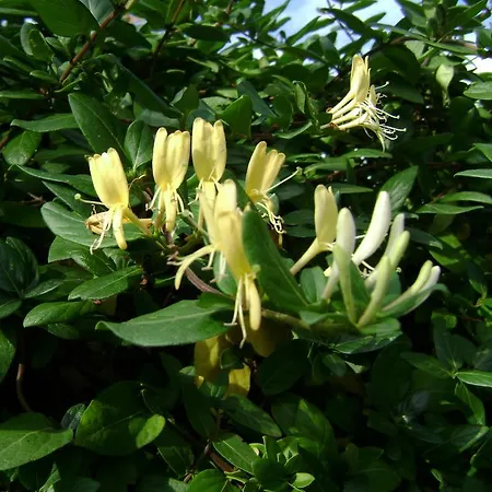 Mediterranea With Private Parking Bed & Breakfast 4*