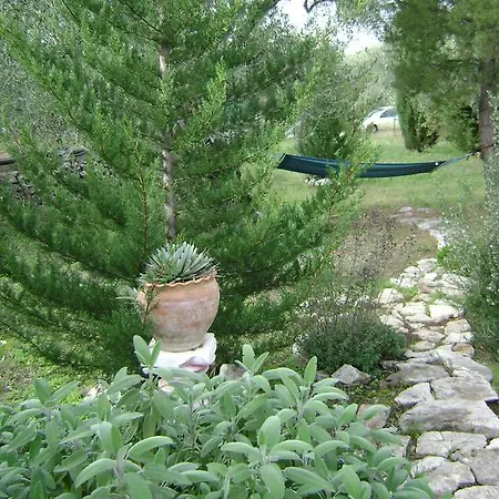 Bed & Breakfast Mediterranea With Private Parking