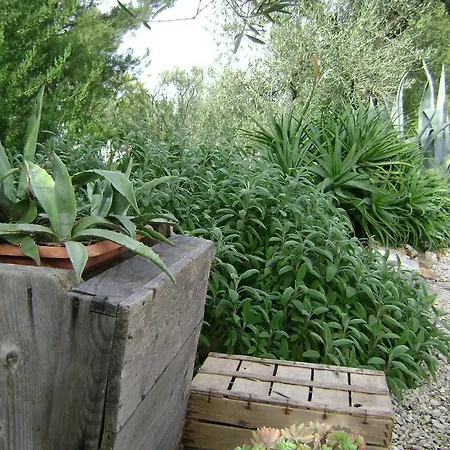 Mediterranea With Private Parking Bed & Breakfast Trani