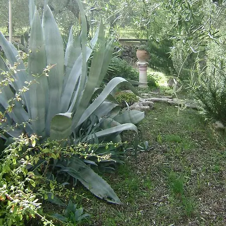 Mediterranea With Private Parking 4*