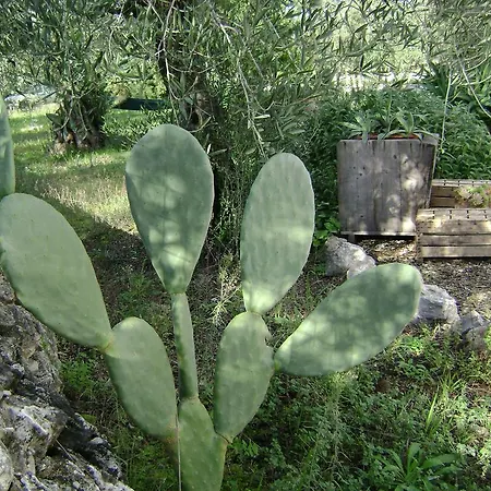 فندق مبيت وإفطار Mediterranea With Private Parking تراني