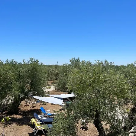 فندق مبيت وإفطار Mediterranea With Private Parking تراني