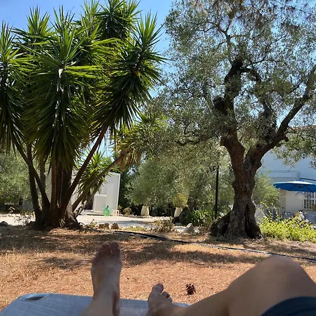 Mediterranea With Private Parking تراني