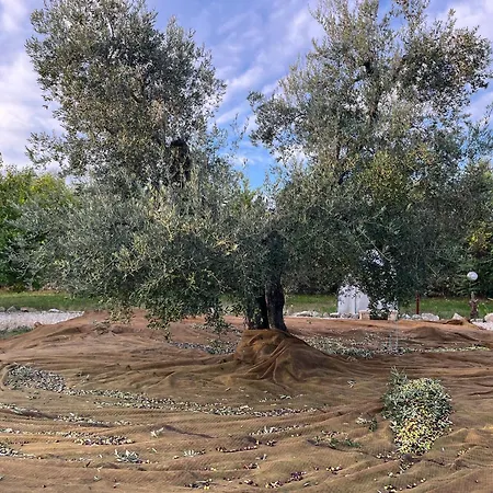 Mediterranea With Private Parking فندق مبيت وإفطار 4*