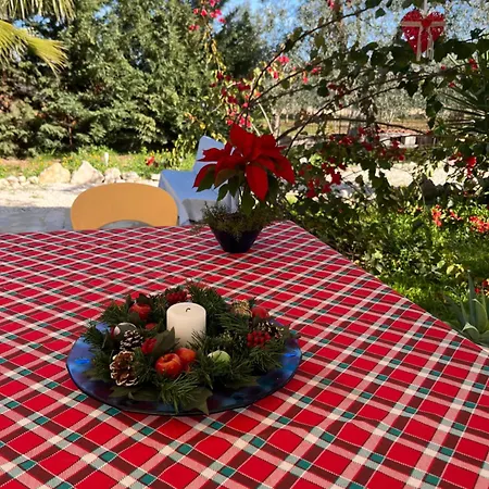 Bed & Breakfast Mediterranea With Private Parking Trani