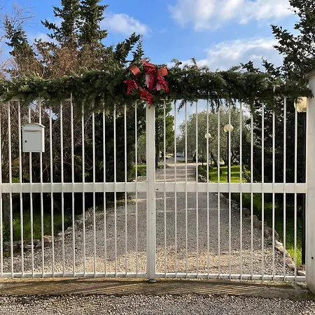 Mediterranea With Private Parking 4* تراني