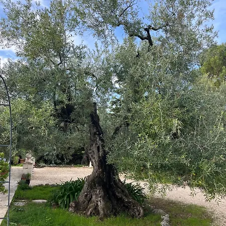 Mediterranea With Private Parking