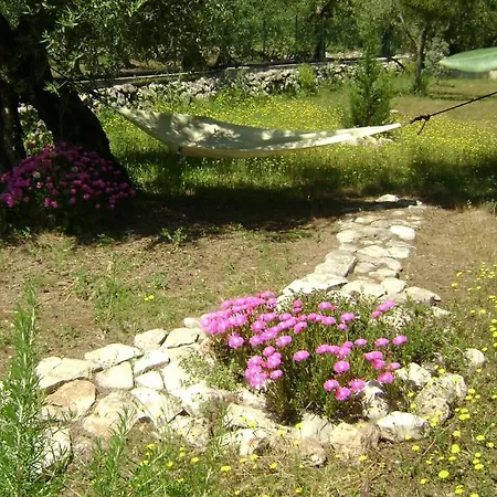 Mediterranea With Private Parking 4* تراني