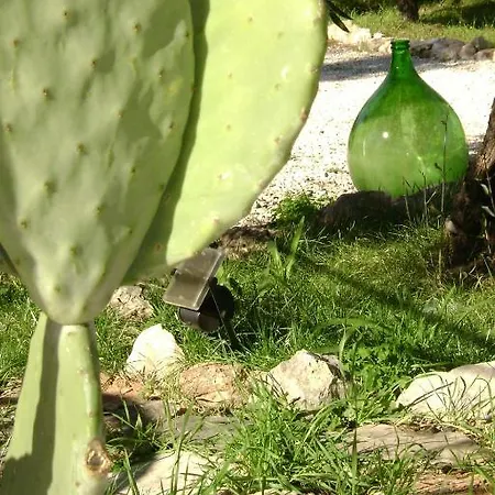 Bed & Breakfast Mediterranea With Private Parking Trani