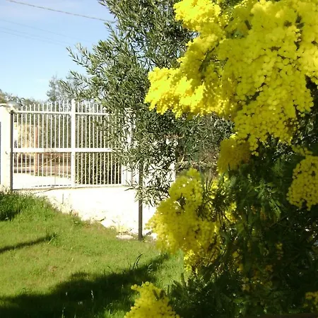 Mediterranea With Private Parking 4* Trani