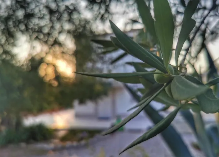 Mediterranea With Private Parking לינה וארוחת בוקר