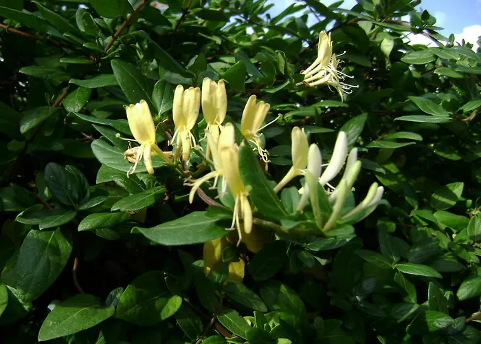 Mediterranea With Private Parking Bed & Breakfast 4*