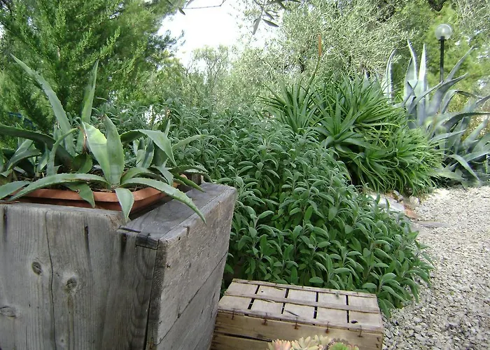 Mediterranea With Private Parking לינה וארוחת בוקר טרני