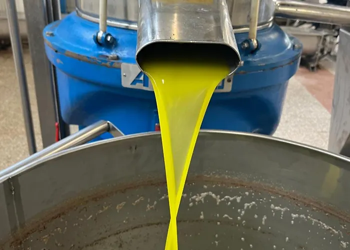 Mediterranea With Private Parking Bed & Breakfast