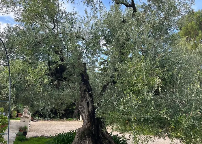 Mediterranea With Private Parking